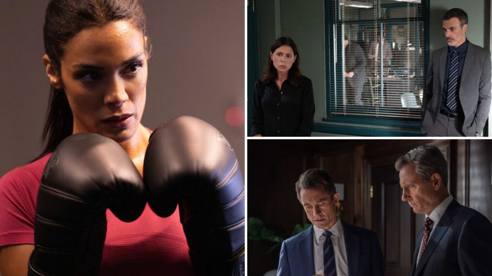 'Law & Order' Season 25 Premiere 'Street Justice'