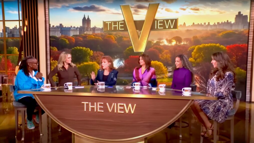 The View panel