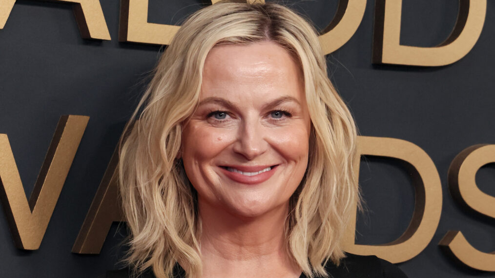 Amy Poehler