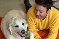 Jimmy Fallon and his dog Gary, Instagram, October 20, 2025.