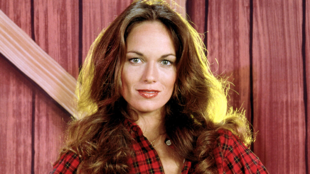 Catherine Bach, Dukes of Hazzard