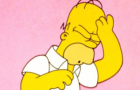 THE SIMPSONS, Homer Simpson (voice: Dan Castellaneta), (Season 5, 1993). TM and Copyright ©20th Century Fox Film Corp. All rights reserved./courtesy Everett Collection
