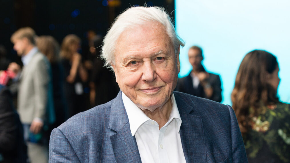 David Attenborough