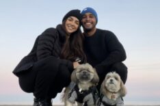 HGTV 'Divided by Design' Stars Devastated by Shocking Death of Dog They Left With Sitter