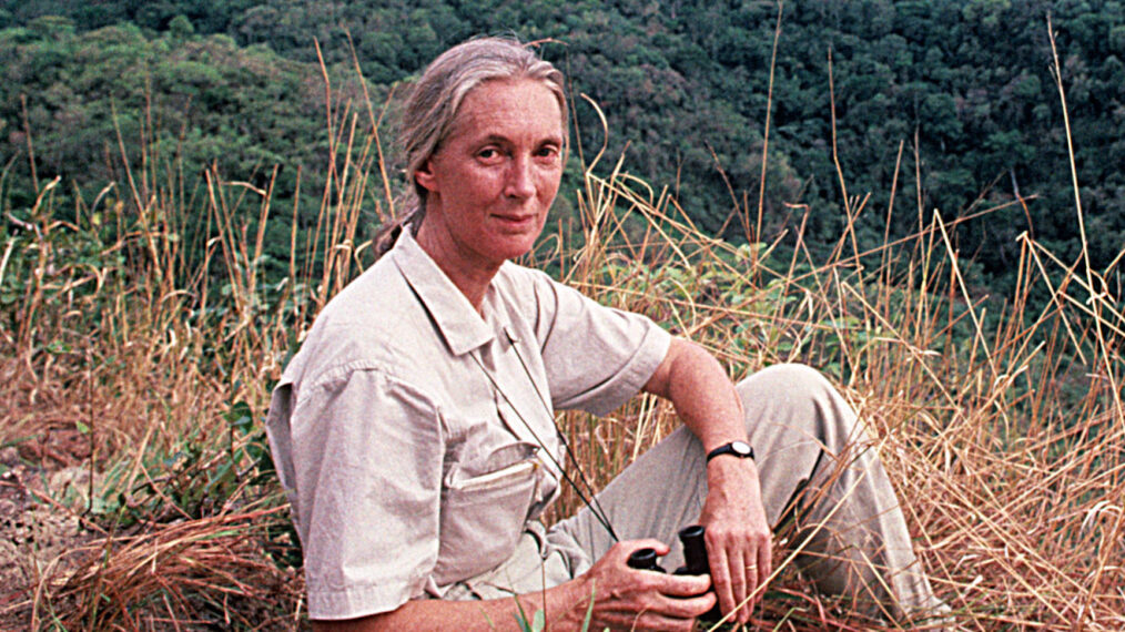 Jane Goodall