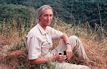 Jane Goodall