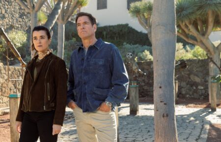 Cote De Pablo as Ziva David and Michael Weatherly as Tony Dinozzo — 'NCIS: Tony & Ziva' Season 1 Finale