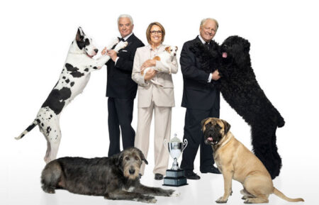 2025 National Dog Show