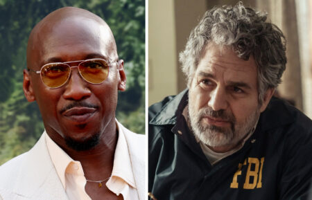 Mahershala Ali will star in Task with Mark Ruffalo; Mahershala Ali attends the 