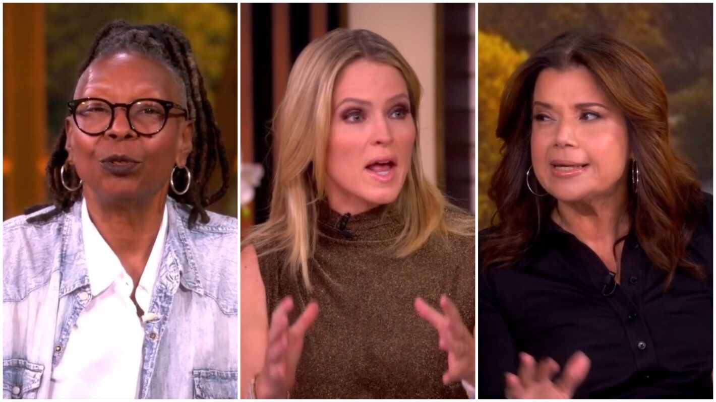 'The View' Hosts Torch Trump and Press Secretary Over Epstein Reaction