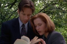 David Duchovny and Gillian Anderson in The X-Files Season 4 Episode 10