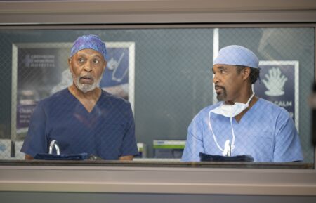 James Pickens Jr. and Jason George in 'Grey's Anatomy'