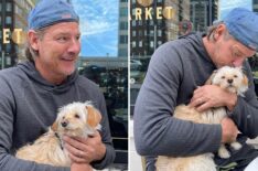 Ty Pennington Shares Heartwarming Update on Beloved Pet Dog Dory