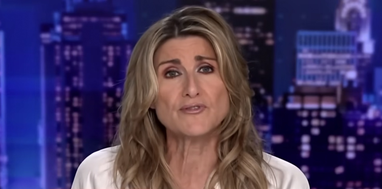 Why Did Ashleigh Banfield Leave CNN?