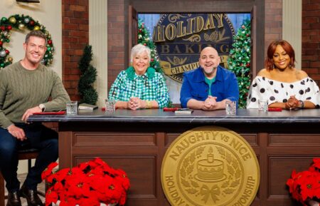 Jesse Palmer, Nancy Fuller, Duff Goldman, and Kardea Brown, 'Holiday Baking Championship' Season 12, Food Network, promo art