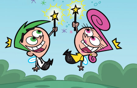 THE FAIRLY ODDPARENTS,