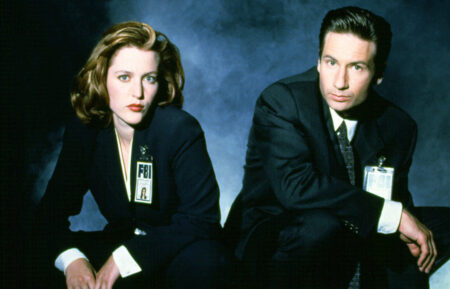THE X-FILES, Gillian Anderson, David Duchovny, 1993-2002.