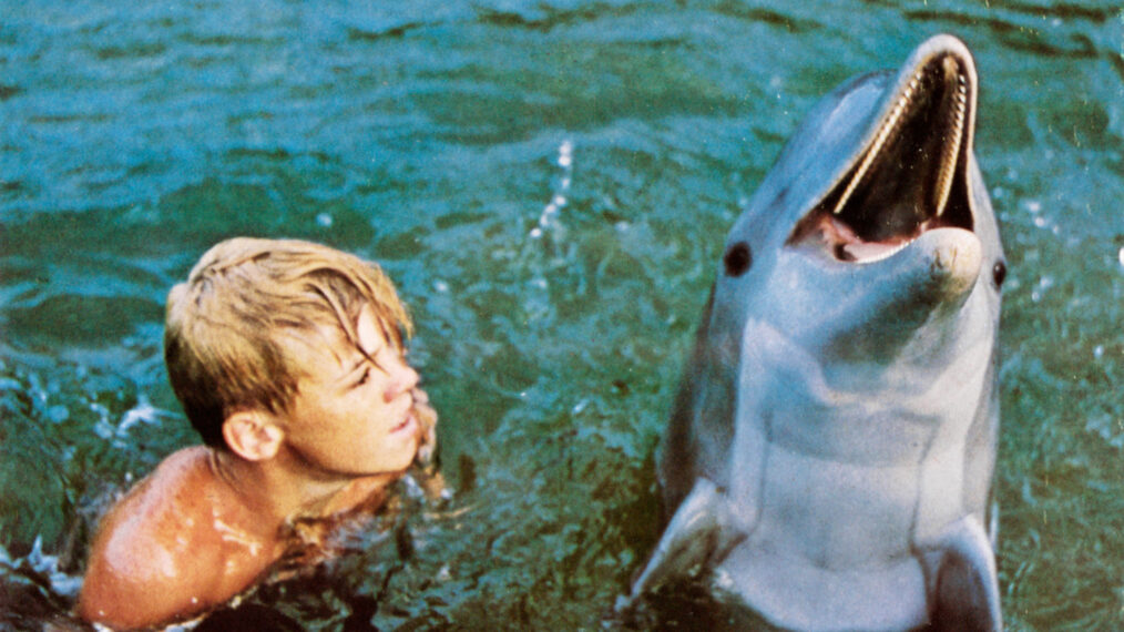 Luke Halpin in 'Flipper' (1966)