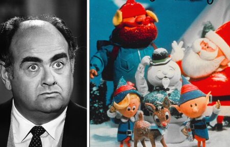 Larry D Mann voice actor of Yukon Cornelius in Rudolph the Red Nose Reindeer also voiced other Rankin/Bass characters