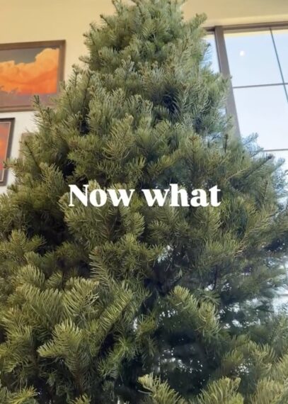 Ree Drummond Instagram