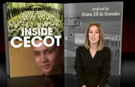 Sharyn Alfonsi on 60 Minutes