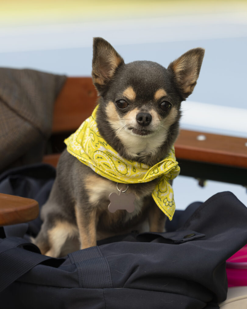 WILL TRENT - “… Speaking of Sharks” - Five months after the attack on the GBI, a figure from Will’s past escapes prison, forcing him to defy orders and launch a search that rips open old wounds and threatens to destroy everything he’s fought to rebuild. TUESDAY, JAN. 6 (8:00-9:00 p.m. EST) on ABC. (Disney/Lynsey Weatherspoon) BLUEBELL