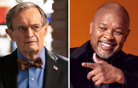 David McCallum as Dr. Donald 