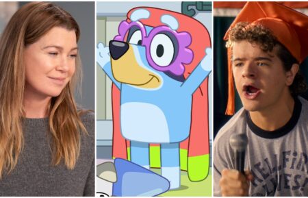 Grey's Anatomy, Bluey, and Stranger Things