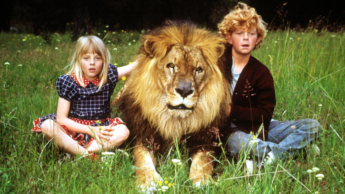 Jodie Foster Details Getting Mauled by a Lion While Filming Disney Movie
