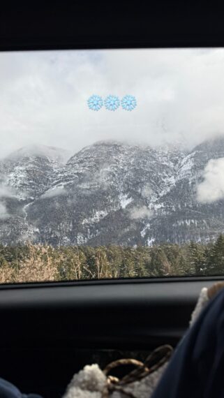 Savannah Sellers Instagram Story, January 29, 2026.