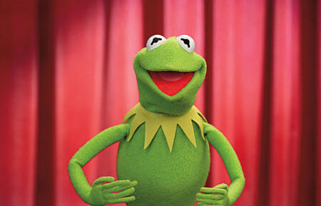 The Muppets, Kermit