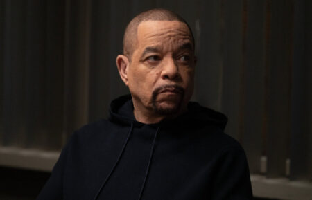 Ice-T - 'Law & Order: SVU'