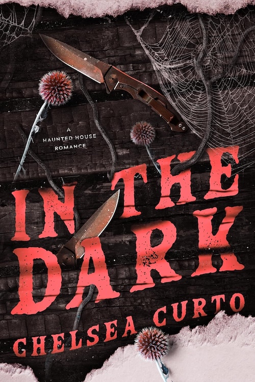 In the Dark by Chelsea Curto