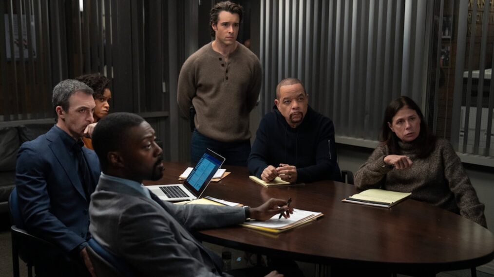 Reid Scott as Detective Vincent Riley, Aimé Donna Kelly as Capt. Renee Curry, David Ajala as Det. Theo Walker, Corey Cott as Det. Jake Griffin, Ice T as Sgt. Odafin 