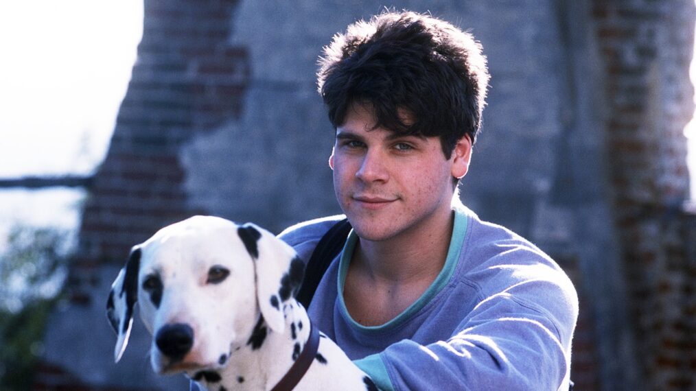 FAMILY TIES, Marc Price, 1982-89