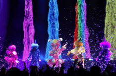 Are 'The Masked Singer’ Contestants Paid?