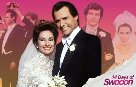 Susan Lucci, Michael Nader on 'All My Children'; Richard Shoberg