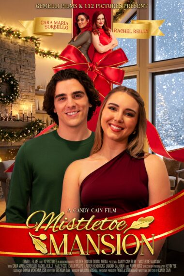 Mistletoe Mansion poster