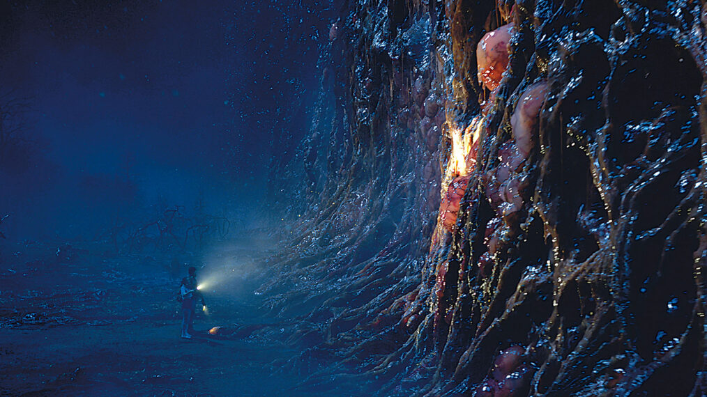 STRANGER THINGS. (L to R) Millie Bobby Brown as Eleven and David Harbour as Jim Hopper in STRANGER THINGS.