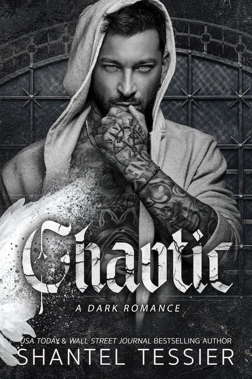 Chaotic by Shantel Tessier