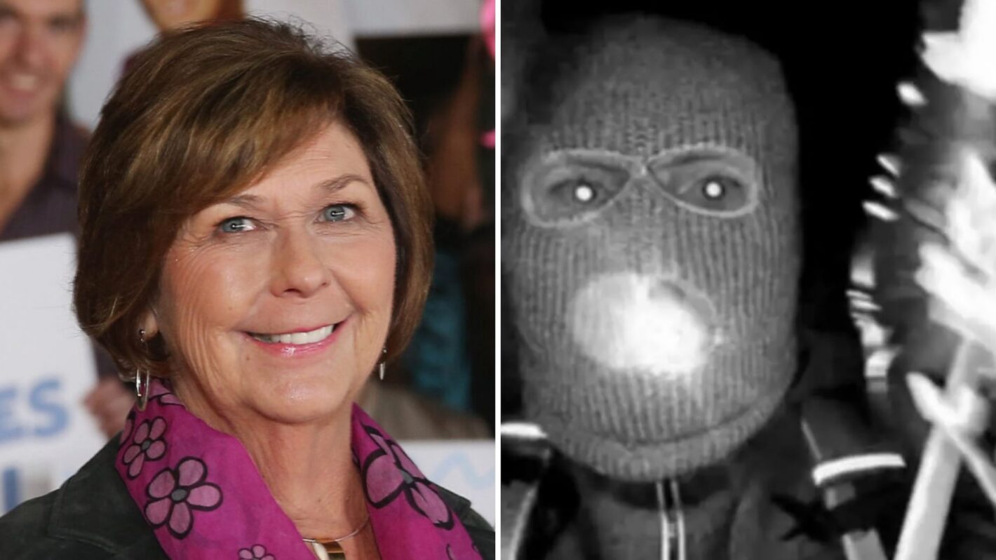 Nancy Guthrie Masked Suspect Video Has Telltale Clues, Says FBI Expert