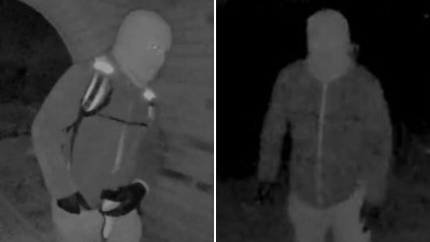 Nancy Guthrie Suspect Reportedly Seen in Doorbell Camera Footage on Different Day