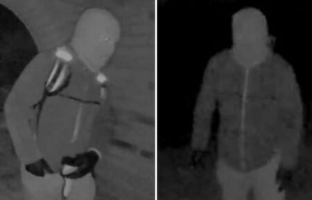 Nancy Guthrie suspect