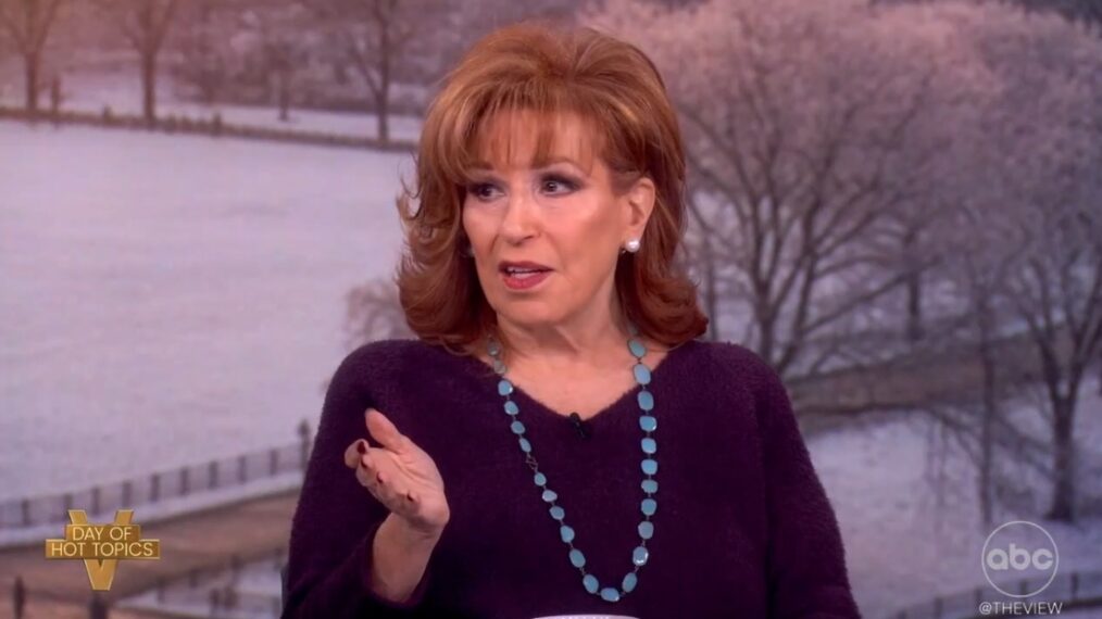 Joy Behar on The View