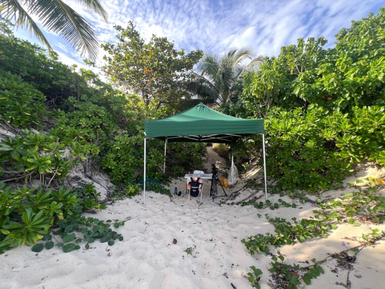 On set of 'Survivor 50' in Fiji, June 2025