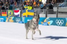 See the Adorable Moment a Dog Crashed a 2026 Winter Olympics Race