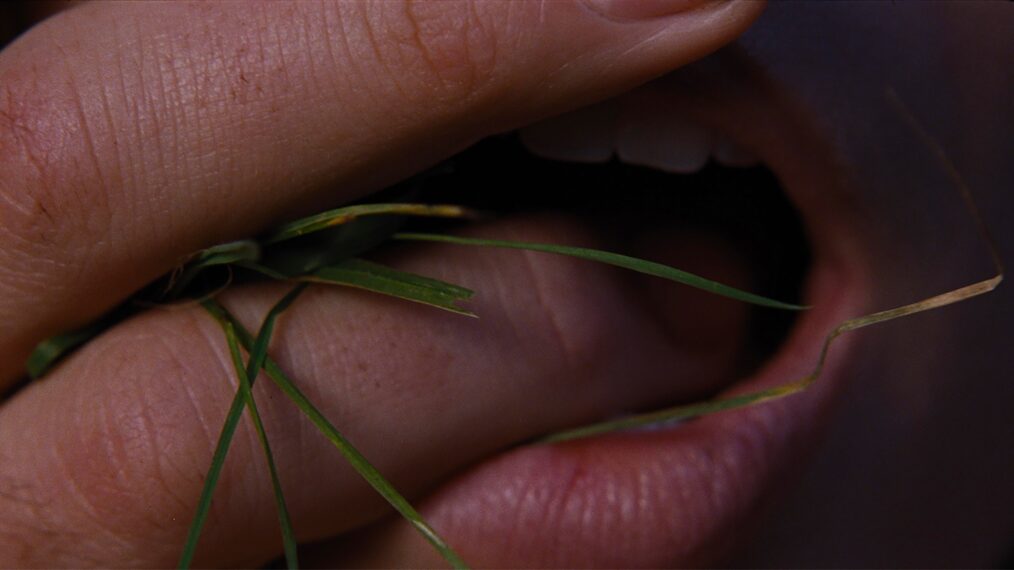 A still from 'Wuthering Heights'