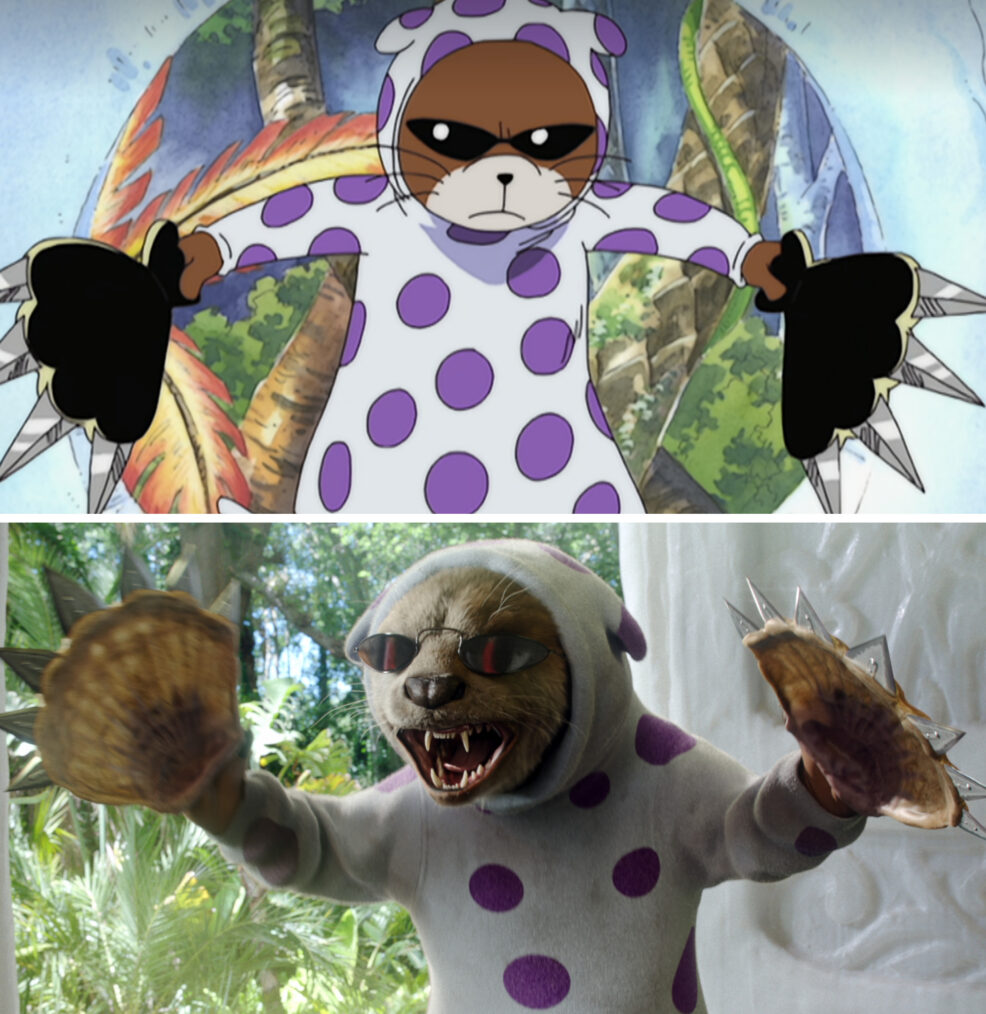 One Piece, Toei Animation/Fuji TV, 'One Piece,' Netflix