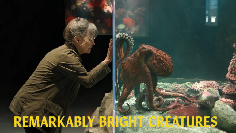 Remarkably Bright Creatures