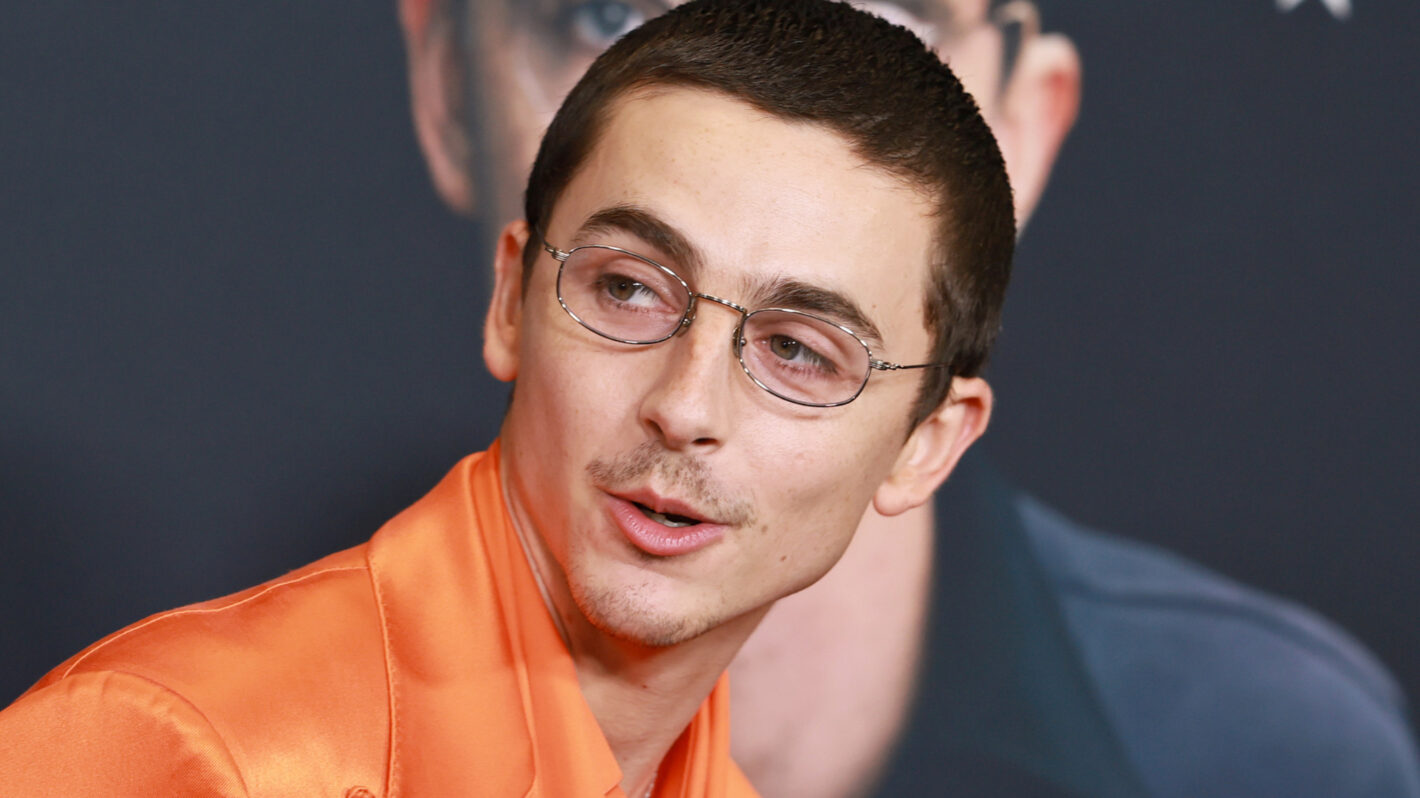 Timothée Chalamet's Ballet and Opera Diss Rankles Art Community